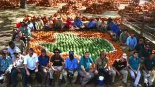 Construction Time Lapse of Pumpkin Village Shot by GoPro
