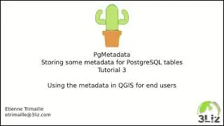 PgMetadata: Использование метаданных в QGIS