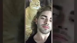 мем