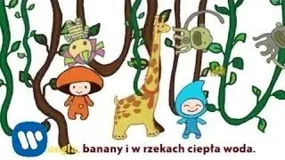 Tridulki - Afryka dzika