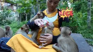 Angela get much feeding by mom KT providing one bottle of milk, She get full and thank you mom