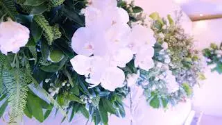 Q8 planner - Tropical theme Wedding