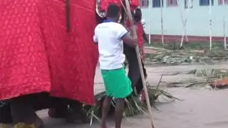 Captive elephant abuse in Sri Lanka
