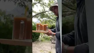 Hunza&rsquo;s best apricot juice ❤️ #shorts #madeehaowaisvlogs #trending #best #juice #hunza