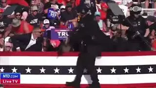 Смотрим    Покушение на Дональда Трампа