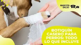 BOTIQU&Iacute;N PARA PERROS: TODO LO IMPRESCINDIBLE |  Mascota y Salud