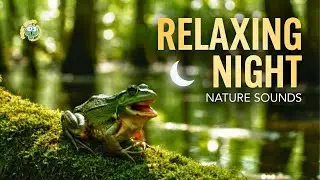 DEEP SLEEP Instantly: Calming Swamp Nature Sounds (Frogs Chirping Ambience)