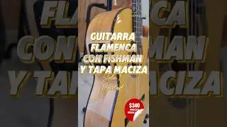 Precio rebajado solo 1 unidad disponible #guitarra #guitarplayer #tiendademusica #guitarrista