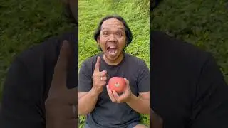Lifehack skills: Removing apple stickers 🍎😱🤪#apple #camping #bushcraft #outdoors