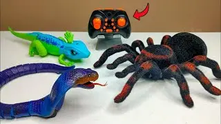Remote Control Prank Lizard Unboxing & Testing