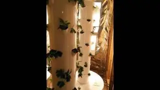 Aeroponic Tower Garden cannabis grow 2016 (Colorado)