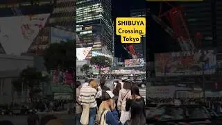Shibuya Scramble Crossing in Tokyo, Japan