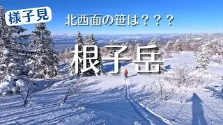 【様子見】根子岳BCスキー　北西面の笹は？？？