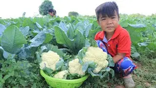 Seyhak and grandmother harvest cauliflower for cooking / Family food cooking