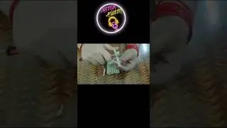 Wet chalk cutting ASMR_AWSM#asmrsounds #shorts #asmr #asmrvideo #asmrviral #short #shortvideo #trend