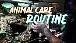 DOING A WATERCHANGE ON THE MONSTER FISH GROWOUT TANK + TAKING CARE OF ALL THE ANIMALS