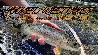 TROUT SCOUT