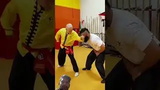 #kungfu #martialarts #newthought #wushu #selfdefense #wingchun #shaolin #taekwondo #karate #mma