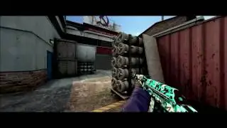 CS:GO - Hidden words // Ft.Plopp