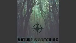 Nature is Watching