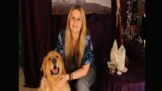 Learn How to Communicate With Animals