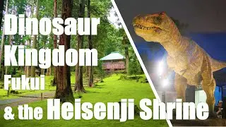 Dinosaur Kingdom Fukui and a Katsuyama Power Spot: The Heisenji Shrine | Experience Fukui, JAPAN