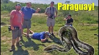 Finding our way through Paraguay.  A Herping Adventure.