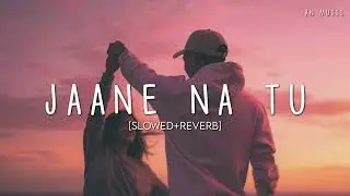 Jaane Na Tu (Slowed + Reverb) - Bhoomi | Saaheal | Naaz | AN MUSIC