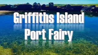 Griffiths Island, Port Fairy