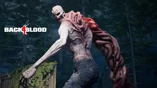Zp&aacute;tky do akce 2