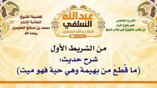 الشيخ ابن عثيمين : شرح حديث  ما قُطِعَ من بهيمة وهي حية فهو ميت