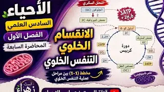 احياء // السادس علمي التنفس / الانقسام الخلوي