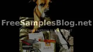 Free Sample Rachael Ray Just6 Dog Food