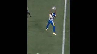 Nick Scott unnecessary roughness; davante adams; rams vs panthers