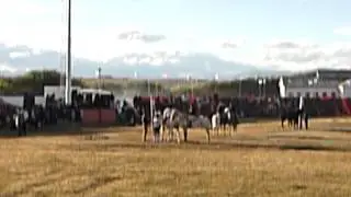 P1070186