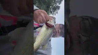 He crushed the BOOYAH Prank Popper #shorts #shortsfeed #shortsvideo