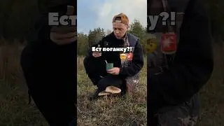 Он ЕСТ ПОГАНКУ?!🤯🦠🚫 зонтик пёстрый!