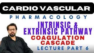 Coagulation Cascade | Intrinsic & Extrinsic Pathways | Blood Pharmacology | #clinicalpharmacology