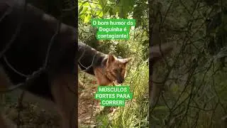 SA&Uacute;DE E M&Uacute;SCULOS FORTES DA PASTORA ALEM&Atilde; #pastoraalem&atilde;