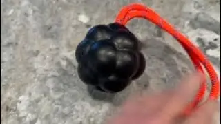 Pet Professional's Thoughts on this Heavy Duty Dog Toy