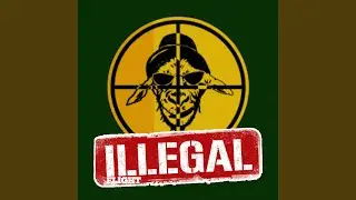 Illegal Flight