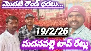 19/2/26 Madanapalle tomato market price today 🍅 మదనపల్లె ధరలు #todaytomatorate #crkvideos16 