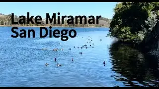 Lake Miramar San Diego #sandiego #tour #lake #lakemiramar #miramar #water #ducks #nature