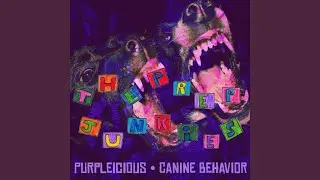 Canine Behavior