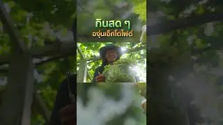 Eat fresh ectophytic grapes