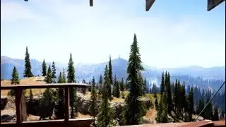Far cry 5 day night cycle