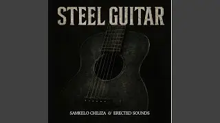 Steel Guitar