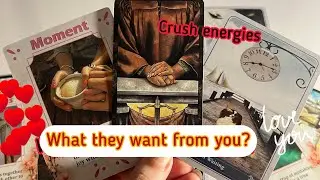 Crush Energies: What they want from you?😉😍 Hindi tarot card reading