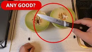 KYOKU 5 Inch Utility Knife (Review)