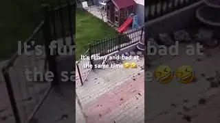 Dog keeper chased by dog ￼